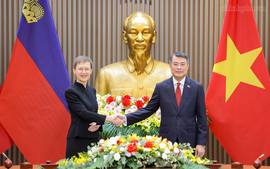 Thủ tướng Lê Minh Hưng hội đàm với Thủ tướng Liechtenstein
