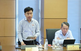 Xác định rõ phạm vi điều chỉnh giữa Luật Đấu giá tài sản với các luật chuyên ngành