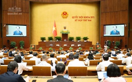 Quốc hội nghe báo cáo 3 dự án luật về đấu giá tài sản, nuôi con nuôi và luật sư