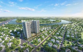 Chung cư phải thực hiện thủ tục môi trường nào?
