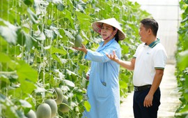 BIDV tung gói tín dụng 200.000 tỷ đồng tiếp sức sản xuất kinh doanh