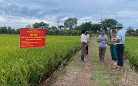 Thúc đẩy xây dựng nông thôn mới gắn với ứng dụng kỹ thuật công nghệ