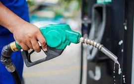 Khẩn trương trình Chính phủ dự thảo Nghị định thay thế Nghị định 83 về kinh doanh xăng dầu trước 10/11/2026