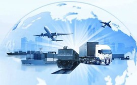 Thay đổi thành viên Đoàn đàm phán Chính phủ về kinh tế và thương mại quốc tế