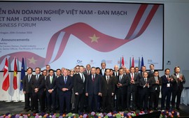 Petrovietnam tiên phong cùng các đối tác Đan Mạch phát triển điện gió ngoài khơi