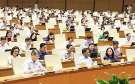 Bổ sung chính sách miễn thuế, điều chỉnh thuế sử dụng đất phi nông nghiệp
