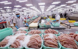 Đổi mới phương thức quản lý và cơ chế kiểm tra thực phẩm trên thị trường