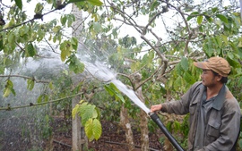 Bài 2: Giữ nước từ sớm: Giải pháp cấp bách chống hạn ở Nam Trung Bộ và Tây Nguyên