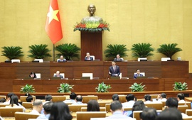 Sửa Bộ luật Tố tụng hình sự bảo đảm xử lý tội phạm kịp thời, nghiêm minh, nhân văn, thuyết phục
