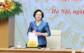 Phó Thủ tướng Phạm Thị Thanh Trà: Kiên định mục tiêu tăng trưởng hai con số, khẩn trương hoàn thiện vị trí việc làm