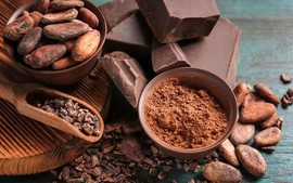 Phát triển ngành ca cao: Giữ vững lợi thế 'hương vị hảo hạng'