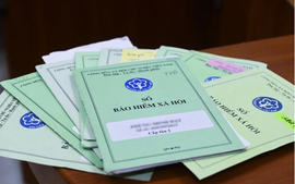 Chủ hộ kinh doanh đã đóng BHXH bắt buộc, hưởng thai sản thế nào?