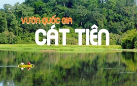 Chuyển giao Vườn quốc gia Cát Tiên về UBND thành phố Đồng Nai quản lý