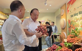 Truy xuất nguồn gốc hàng hóa: Công cụ bảo vệ người tiêu dùng và doanh nghiệp
