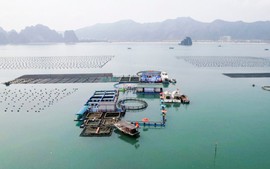Gỡ các điểm nghẽn để mở rộng không gian kinh tế biển