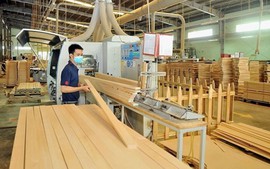 Thị trường gỗ nội địa cần một "luật chơi" minh bạch