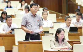 Quyết liệt thực hiện nhiệm vụ về xây dựng vị trí việc làm