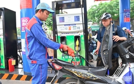 Từ 1/11/2026, thuế suất thuế tiêu thụ đặc biệt đối với xăng dầu là 0%
