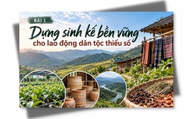 Dựng sinh kế bền vững cho lao động dân tộc thiểu số (BÀI 1)