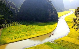 Ninh Bình tăng trưởng 11,31%, quyết tâm giữ nhịp 'hai con số' cả năm