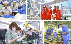 Công khai toàn bộ kết quả xử lý kiến nghị của doanh nghiệp trên Cổng TTĐT Chính phủ
