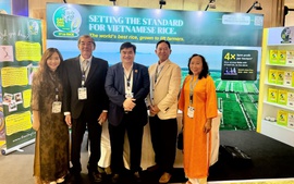 Gạo ST25 của Việt Nam giành giải Nhì "Gạo ngon nhất thế giới 2026"