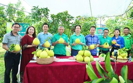 Phát huy nội lực, xây dựng nông thôn mới theo hướng hiện đại, bền vững