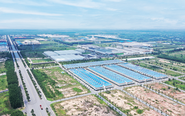 Doanh nghiệp nước ngoài có được thuê lại đất từ công ty bất động sản?