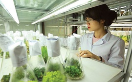 Điều kiện áp dụng phụ cấp độc hại và ưu đãi nghề