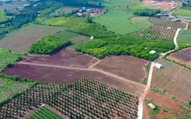 Không có giá đất cho vị trí được giao, tính tiền sử dụng đất thế nào?