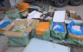 Tiêu hủy hơn 28 tấn thực phẩm đông lạnh không rõ nguồn gốc