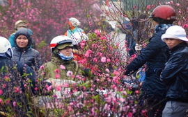 Không khí lạnh tăng cường, miền Bắc chuyển rét từ mùng 1 Tết