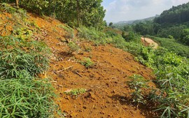 Đất khai hoang năm 2025 có được công nhận quyền sử dụng?