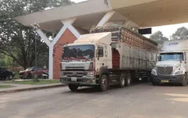 Các bộ họp tháo gỡ vướng mắc về thông quan thực phẩm