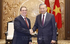 Tổng Bí thư Tô Lâm tiếp Đặc phái viên Đảng, Nhà nước Cuba, Bộ trưởng Ngoại giao Cuba