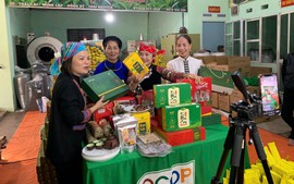 Đẩy mạnh chuyển đổi số hộ kinh doanh từ mô hình thí điểm Thái Nguyên