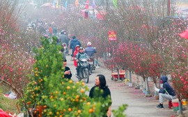 Công điện của Thủ tướng Chính phủ về việc đôn đốc triển khai thực hiện nhiệm vụ phục vụ Nhân dân đón Tết Nguyên đán Bính Ngọ năm 2026