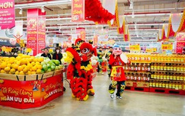 Tết Bính Ngọ 2026: Nguồn hàng dồi dào, giá cả ổn định