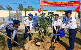 Sôi nổi hoạt động Tết trồng cây tại miền Trung