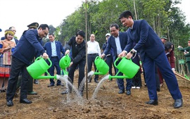 Chủ tịch nước dự lễ phát động Tết trồng cây năm 2026
