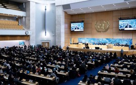 Tổng Thư ký LHQ: Các quyền con người đang bị xói mòn bởi xung đột kéo dài