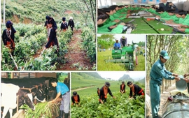 Chỉ đạo, điều hành của Chính phủ, Thủ tướng Chính phủ ngày 25/2/2026 (2)