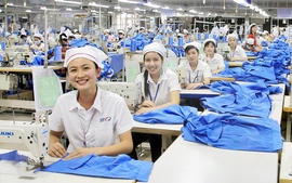 Chỉ đạo, điều hành của Chính phủ, Thủ tướng Chính phủ ngày 25/2/2026 (1)