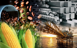 Đề xuất xây dựng Luật Giao dịch hàng hóa phái sinh