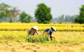 Nâng cao nhận thức về đào tạo nghề lao động nông thôn đối với phát triển kinh tế - xã hội