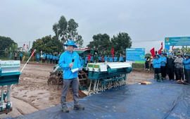 Lúa phát thải thấp: Đồng bằng sông Hồng vào guồng chuyển đổi xanh