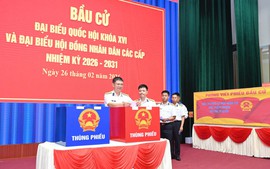 4 khu vực của TPHCM tiến hành bỏ phiếu bầu cử sớm