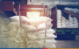 Nguyên nhân khiến xuất khẩu gạo Thái Lan lao dốc, có thể chạm đáy 5 năm