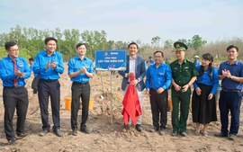 Amway Việt Nam phối hợp với Trung ương Đoàn thực hiện chương trình 'Lũy tre biên giới'