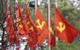 Lời thề trước cờ Đảng